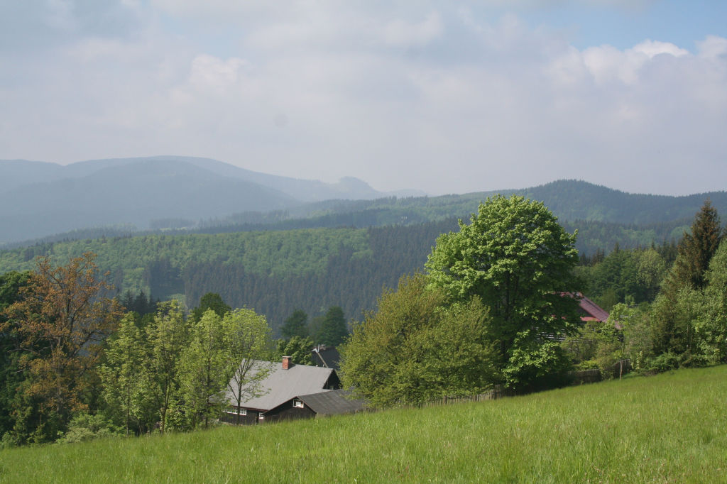 Image001 (1)