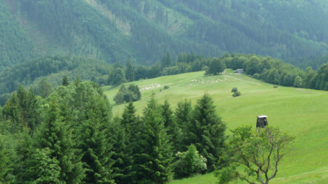 Image034